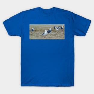 Seagulls in the sand T-Shirt